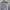 Dickies Streetwear Sportswear Hoody Wanita multicolor photo 2