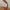 Minimalist Wanita red photo 2