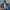 ZARA Streetwear Casual Bomber jacket Pria multicolor photo 7