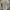 ZARA Streetwear Casual Harrington jacket Wanita brown cream photo 3