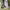 Maison Margiela Luxury Minimalist Sneakers Pria white cream photo 3