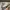 Maison Margiela Luxury Minimalist Sneakers Pria white cream photo 8