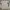 Dickies Luxury Minimalist Sweater Pria white cream photo 2