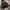 The North Face Gorpcore Sportswear Windbreaker Pria brown photo 7