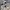 Dickies Streetwear Windbreaker Pria cream photo 2