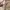 Guess Vintage Y2K Shoulder bag Wanita tan cream photo 3