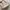 CELINE Vintage Luxury Handbag Wanita white photo 3