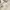 CELINE Vintage Luxury Handbag Wanita white photo 2