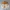 Descente Casual Bomber jacket Pria white orange photo 2