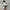 Sportswear Sneakers Wanita multicolor photo 1