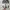 Sportswear Sneakers Wanita multicolor photo 4