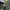Vintage Streetwear Puffer jacket Pria green photo 5