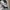 ZARA Casual Sweatpants & Joggers Kids gray photo 2