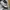 ZARA Casual Sweatpants & Joggers Kids Gray