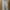 ZARA Casual Sweatpants & Joggers Kids gray photo 4
