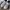 Reebok Sportswear Sneakers Pria white blue photo 1