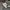 Carhartt Streetwear Hoody Pria gray photo 7