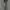 Carhartt Streetwear Hoody Pria gray photo 4