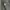 Carhartt Streetwear Hoody Pria gray photo 5