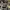 DC Shoes Indie Casual Hat Pria gray photo 1