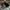 Casual Hat Pria multicolor black photo 6