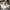 Casual Hat Pria white photo 5