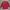 Casual Pria red photo 6