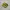 New Balance Sportswear Casual Sneakers Pria yellow photo 1