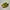 New Balance Sportswear Casual Sneakers Pria yellow photo 3