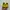 New Balance Sportswear Casual Sneakers Pria yellow photo 4