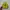 New Balance Sportswear Casual Sneakers Pria yellow photo 2
