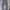 Y2K Casual shoe Pria gray photo 1