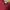 Lolita Casual Going out dress Wanita burgundy photo 4