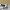 Polo Ralph Lauren Streetwear Sportswear Baju bayi Kids white photo 4