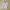 Polo Ralph Lauren Streetwear Sportswear Baju bayi Kids white photo 1