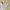 Polo Ralph Lauren Streetwear Sportswear Baju bayi Kids white photo 2