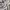 Polo Ralph Lauren Streetwear Sportswear Baju bayi Kids white photo 3