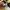 Polo Ralph Lauren Streetwear Y2K Sweatshirt Kids navy yellow photo 3