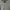 ZARA Streetwear Sweater Wanita gray photo 3