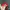 Emo Indie Hat Pria red photo 2