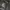 VANS Streetwear Windbreaker Pria black photo 5