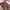 Y2K Coquette Crossbody Bag Wanita pink photo 1