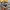 Under Armour Y2K Casual Hoody Pria gray photo 5