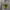 Under Armour Y2K Casual Hoody Pria gray photo 2