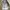 Nike Vintage Sportswear Jersey Pria silver white photo 5