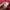Carhartt Vintage Streetwear Hoody Pria red photo 8