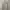 Star Wars Y2K Casual Sweatshirt Pria cream photo 1