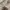 Star Wars Y2K Casual Sweatshirt Pria cream photo 4