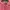 Uniqlo Streetwear Sportswear Track jacket Wanita pink photo 6