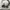 VANS Streetwear Skater Sneakers Pria white black photo 3